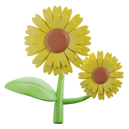 Girasol  3D Icon