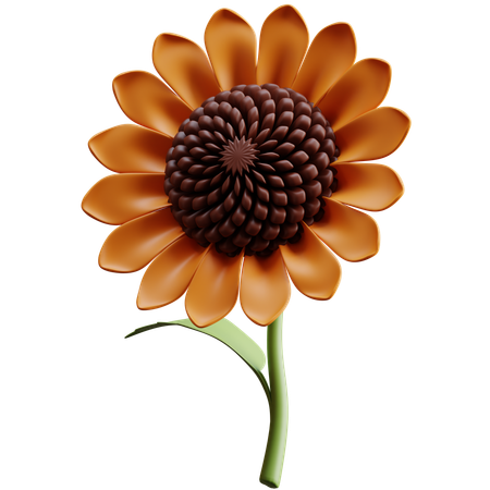 Girasole  3D Icon