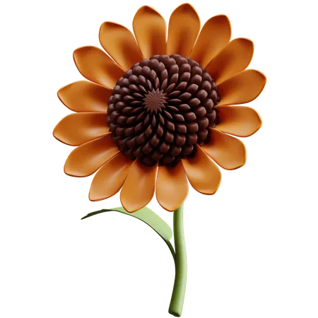 Girasole  3D Icon