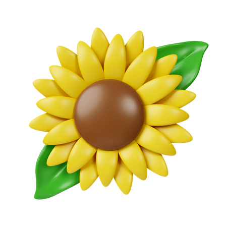 Flores del sol  3D Icon