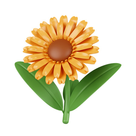 Flores del sol  3D Icon