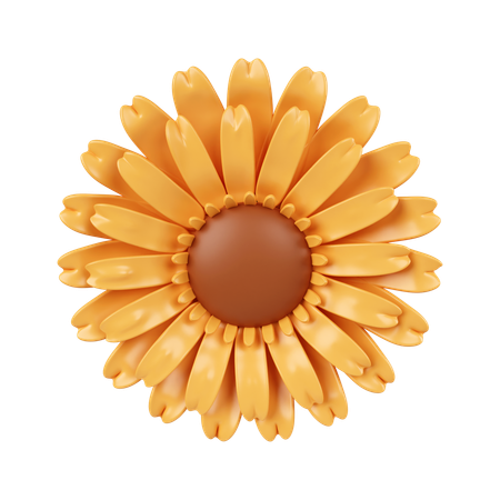 Flores del sol  3D Icon