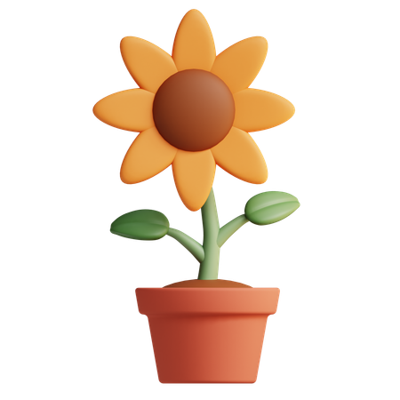 Flor do sol  3D Icon