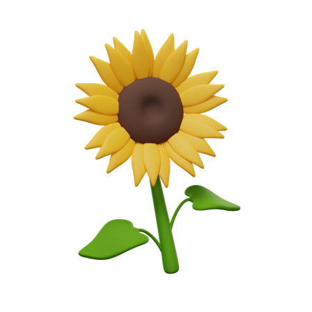 Girassol  3D Icon