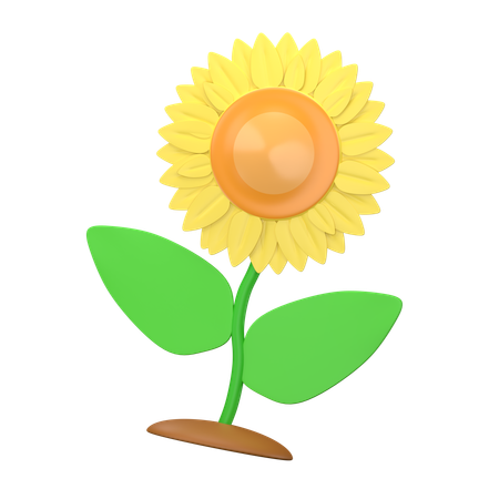 Flor do sol  3D Icon
