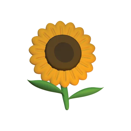 Flor do sol  3D Icon