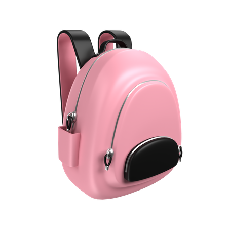 Girl Bag  3D Icon