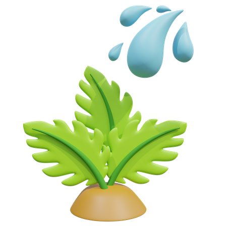 Give Water To Plant 3D Icon