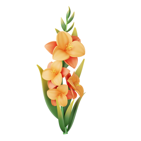 Gladiolus  3D Icon