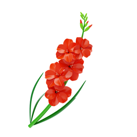 Gladiolus  3D Icon