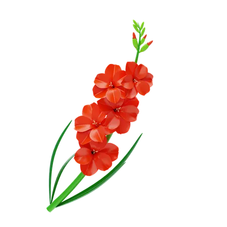 Gladiolus  3D Icon