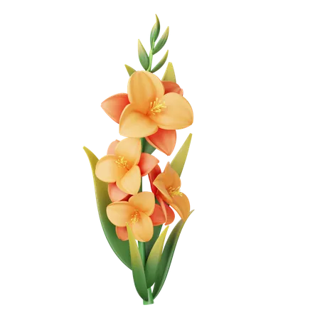 Gladiolus  3D Icon