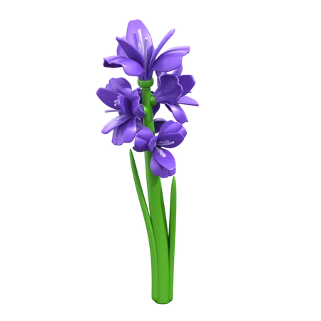 Gladiolus Flower  3D Icon