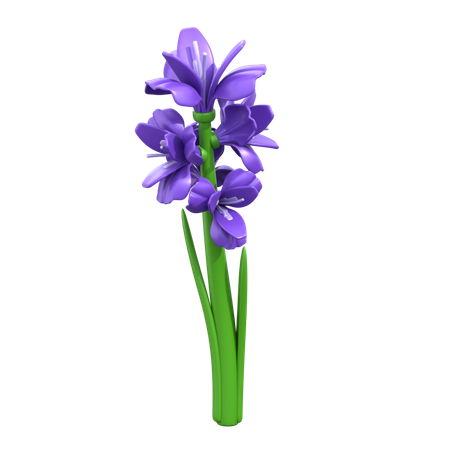 Fleur de glaïeul  3D Icon