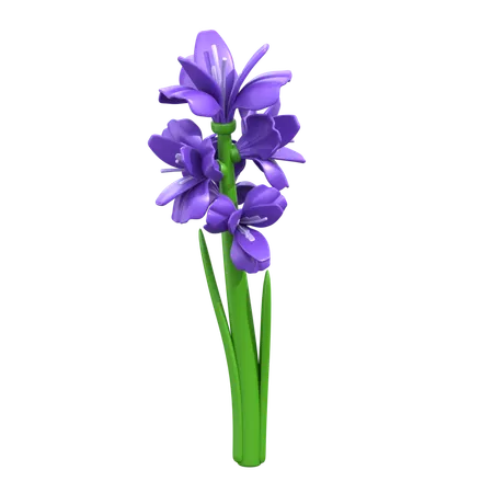 Fleur de glaïeul  3D Icon