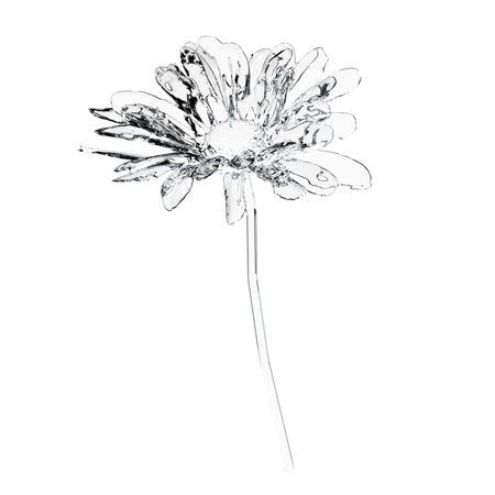 Glass Daisy Flower  3D Icon