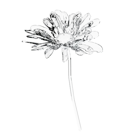 Glass Daisy Flower  3D Icon