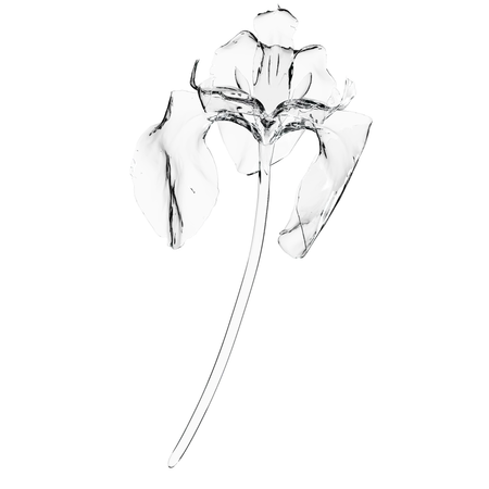Iris Flower 3 D Illustration In Transparent Glass Design 3D Icon