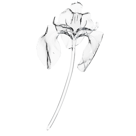 Glass Iris Flower  3D Icon