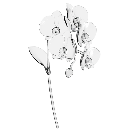 Orchid Flower 3 D Illustration In Transparent Glass Design 3D Icon