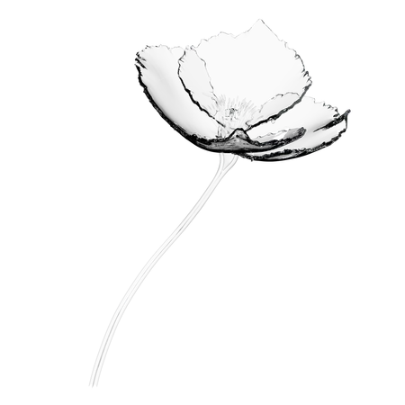 Poppy Flower 3 D Illustration In Transparent Glass Design 3D Icon