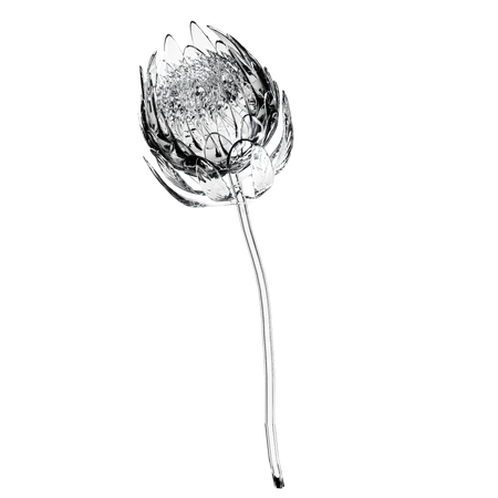 Protea Flower 3 D Illustration In Transparent Glass Design 3D Icon