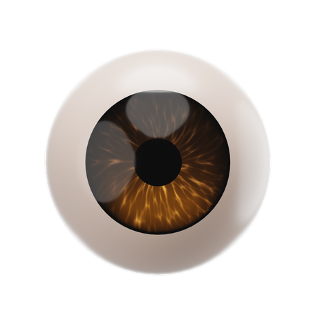 Globo ocular  3D Icon