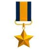 Gold Emblem Medal With Star