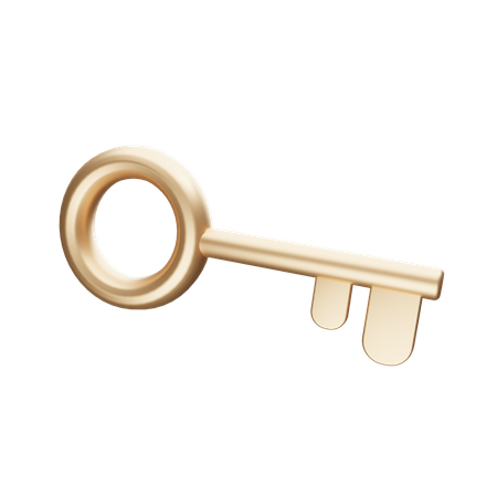 Golden Key  3D Illustration