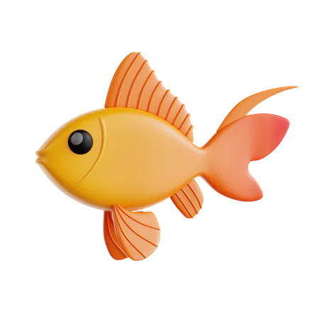 Goldfish  3D Icon