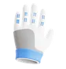 Golf Glove