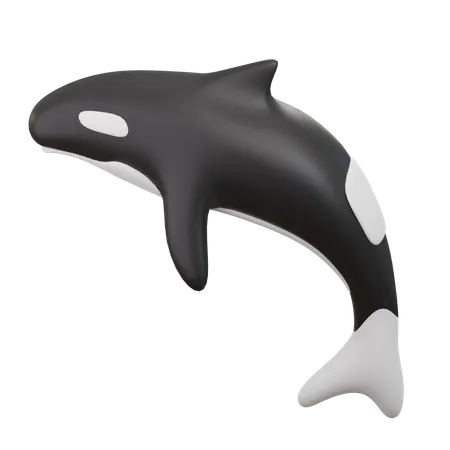 Golfinhos  3D Icon