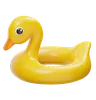Goose Pool Float