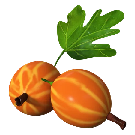 Gooseberries  3D Icon