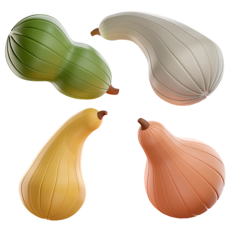 Courges  3D Icon