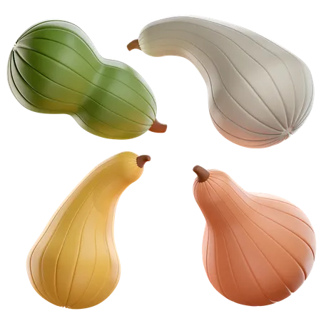 Courges  3D Icon