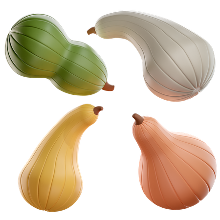 Gourds  3D Icon