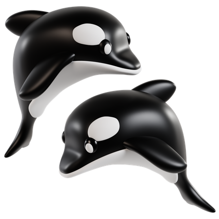 Duo de Orcas Graciosas  3D Icon