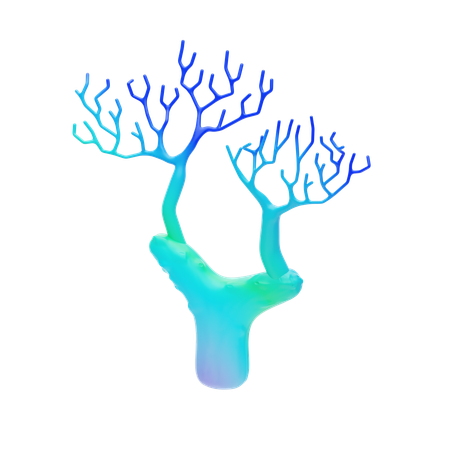 Gradient Fan Coral  3D Icon