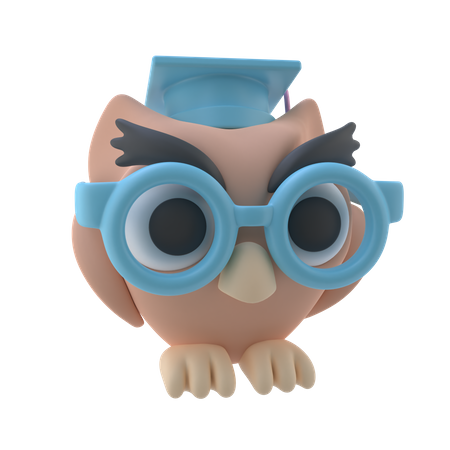 Graduate Owl  3D Icon