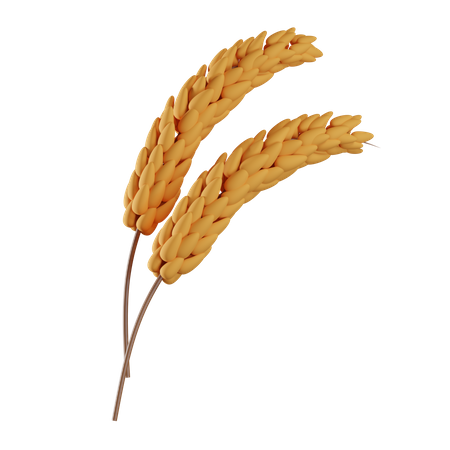 Grain 3D Illustration