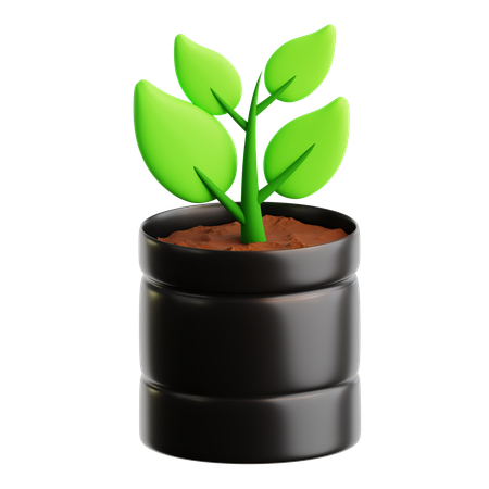Graine d'arbre  3D Icon