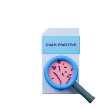 Gram positif  3D Icon