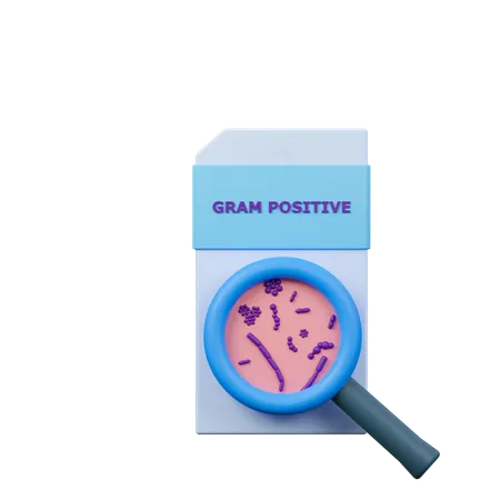 Gram positif  3D Icon