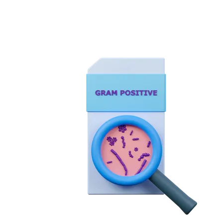 Slide With Gram Positive Bacteria 3 D Icon 3D Icon