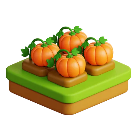 Granja de calabazas  3D Icon