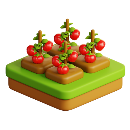 Granja de tomates  3D Icon