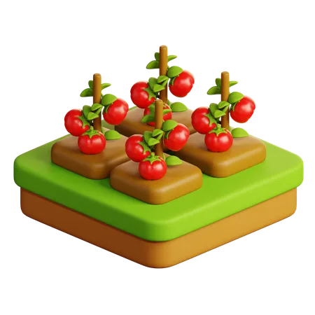 Granja de tomates  3D Icon