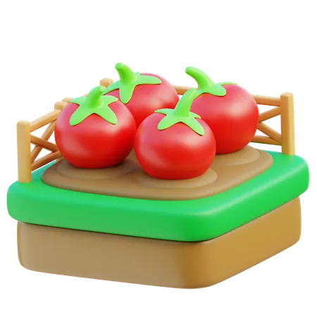 Granja de tomates  3D Icon