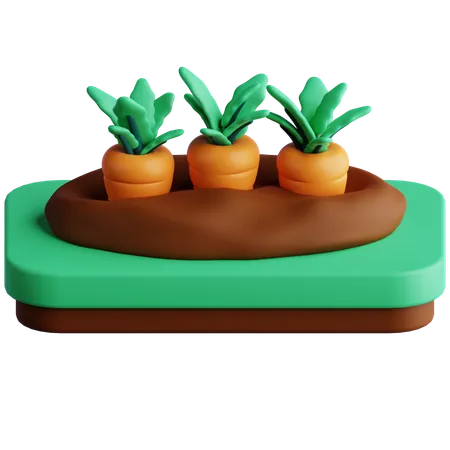 Granja de zanahorias  3D Icon